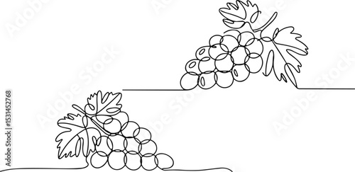 Continuous Line Art of Grape Clusters and Leaves, Perfect for Wine Labels, Vineyard Branding, Healthy Eating, and Organic Food Designs