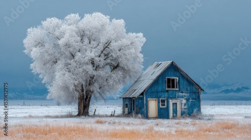 A blue abandoned house stands alone in a snowy field, surrounded by frosted grass and a large, white tree. The scene captures the stillness and beauty of winter in a remote area.