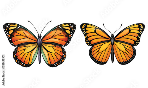 Realistic Monarch Butterfly Clipart - Beautiful Orange & Black Insect Illustration
