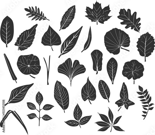 Leaf Collection Silhouettes: An exquisite collection of leaf silhouettes, meticulously arranged to showcase the diverse beauty of nature's foliage, offering a timeless appeal.