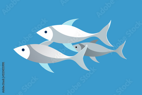 vector illustration of a shark