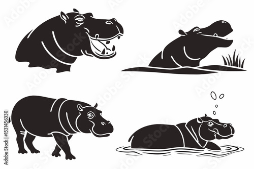 rhino