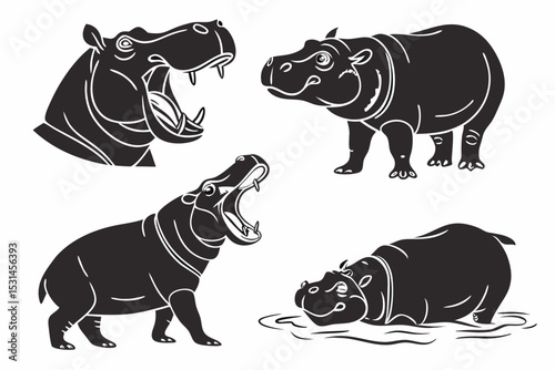 vector illustration of a rhino