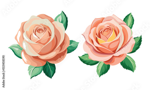 Elegant Peach & Pink Tea Rose Vector Illustrations - Beautiful Floral Design