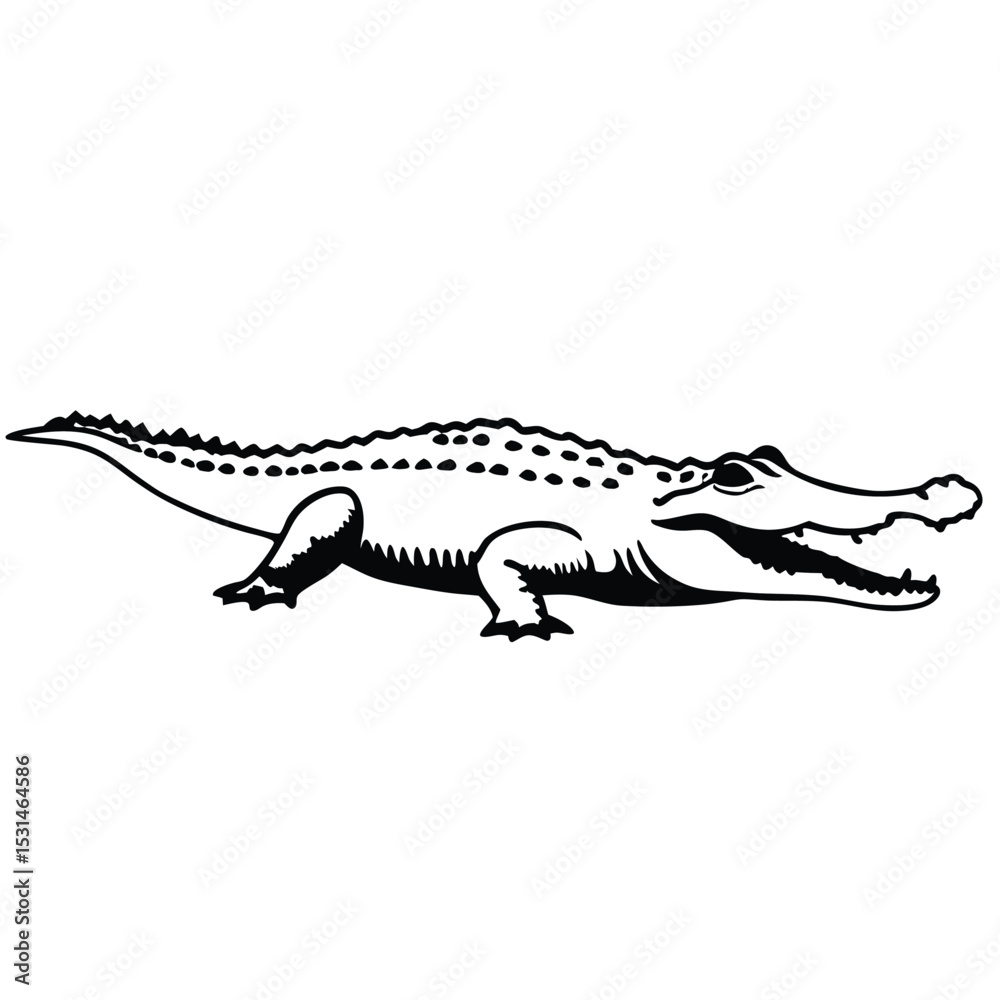 Naklejka premium A black and white depicts a detailed alligator with an open mouth, viewed sideways
