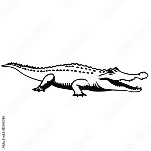 A black and white depicts a detailed alligator with an open mouth, viewed sideways