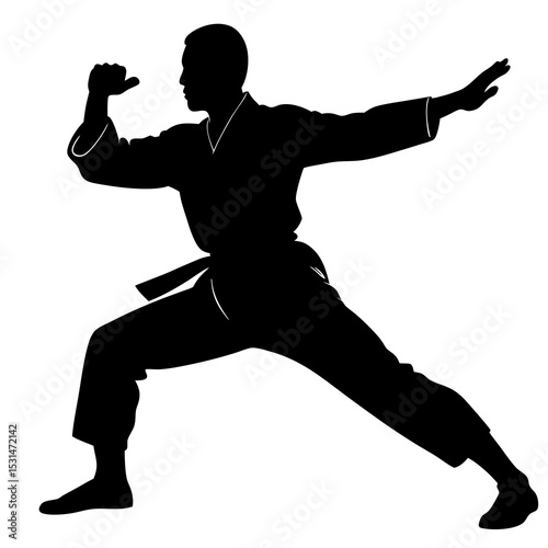 Martial artist pose silhouette