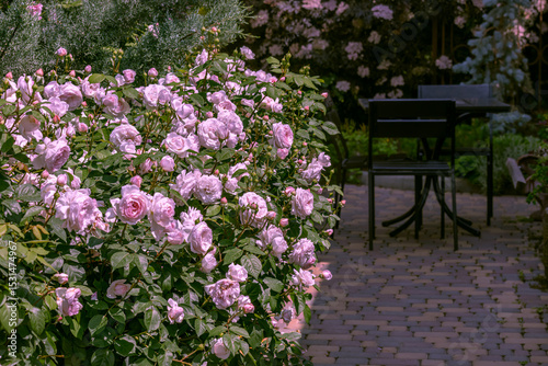 Wallpaper Mural Courtyard of cafe with tables in open air is decorated with blooming rose bushes Torontodigital.ca
