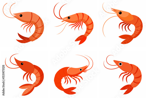 set of prawn  fish