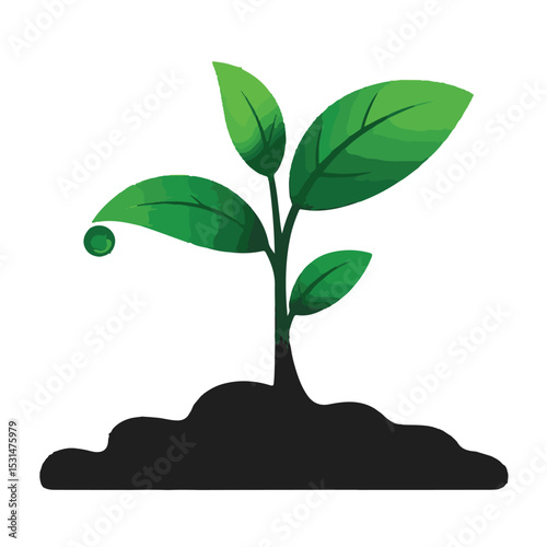 Vibrant green leaves and strong roots define this growing tree, a symbol of new life and the flourishing environment