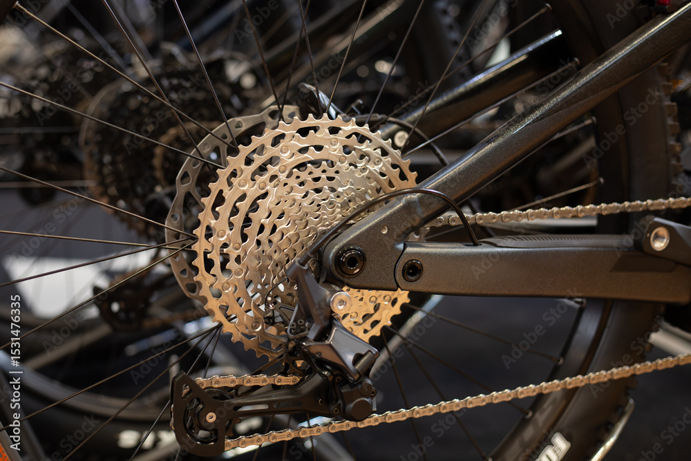 Fototapeta premium on rear transmission of bicycle. Racing bike cassette, precision internal thread cassette made of high-strength steel for cycling.E-bike gear.Bike parts detail.n