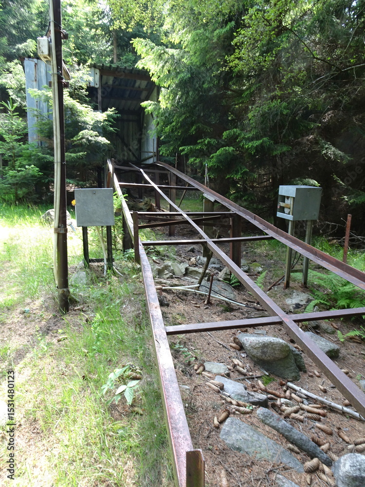 Fototapeta premium railway in the forest