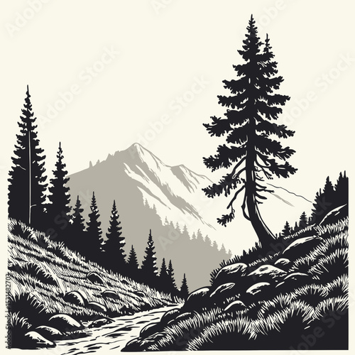 Mountain with pine trees and landscape black on white background. Hand drawn rocky peaks in sketch style. Vector illustration.