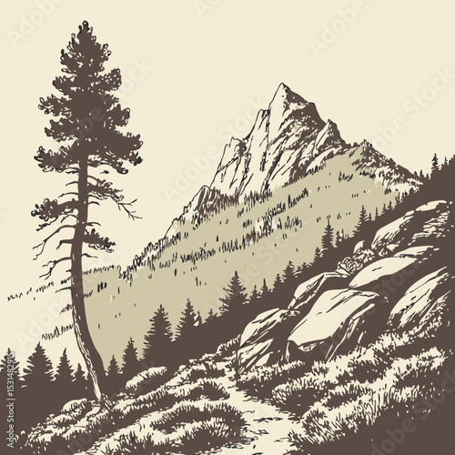 Mountain with pine trees and landscape black on white background. Hand drawn rocky peaks in sketch style. Vector illustration.