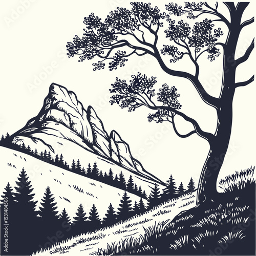 Mountain with pine trees and landscape black on white background. Hand drawn rocky peaks in sketch style. Vector illustration.