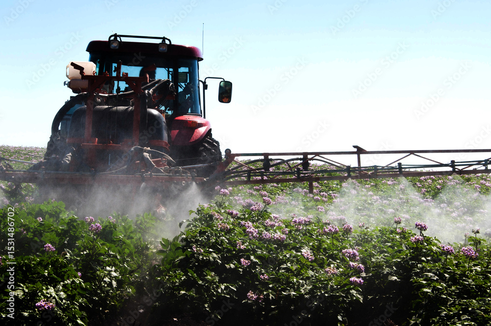 Fototapeta premium tractor working in the field