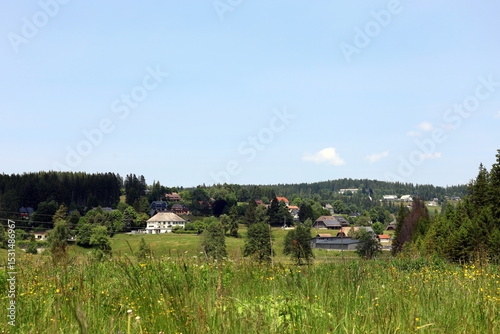 Altglashütten im Schwarzwald im Frühling