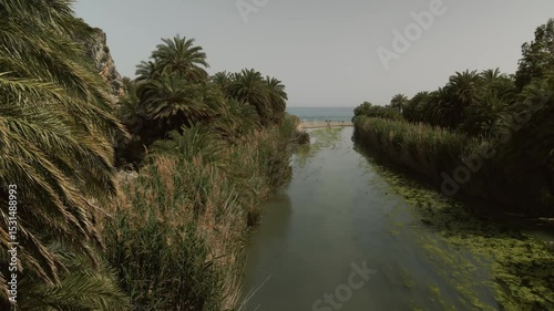 Aerial perspective of a palm-lined river leading toward a sandy beach with turquoise sea visible in the distance near Preveli Palm Forest on the island of Crete, Greece