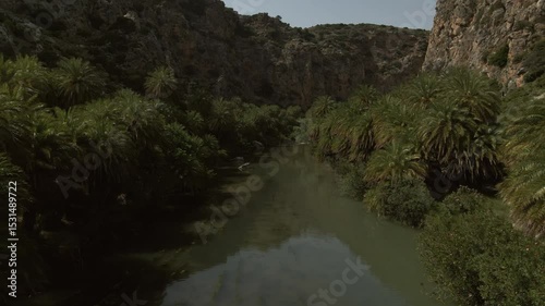 Drone view of a tropical river flowing through a gorge with steep cliffs and dense palm forest on both sides near the Preveli area on the Greek island of Crete