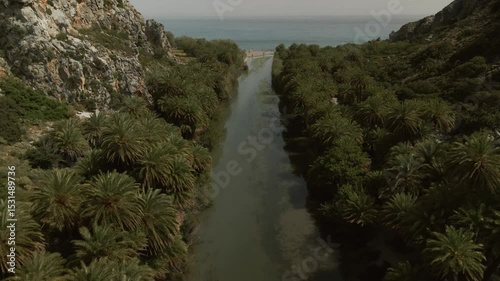 Aerial image showing a narrow river flanked by dense palm trees flowing through a green valley toward the sandy coastline of Preveli beach on the Greek island of Crete