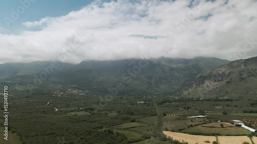 Aerial view of olive groves stretching across the valley with mist-covered mountains in the background near Asprouliani, Crete, Greece