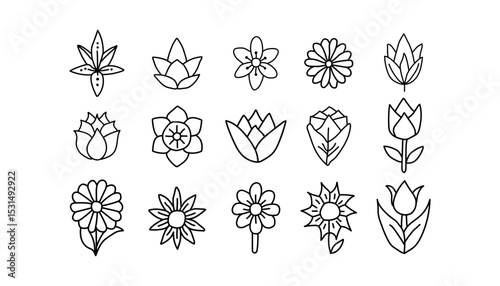 Assorted colorful flowers on white background