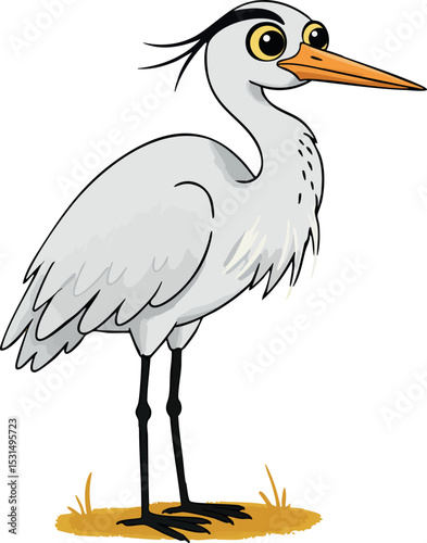 White heron bird standing with long orange beak and black legs vector illustration 