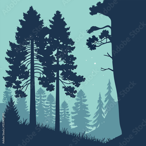 vector illustration of a forest in night time 