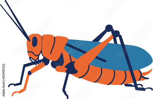 Grasshopper insect vector illustration in orange and blue colors with simple design 