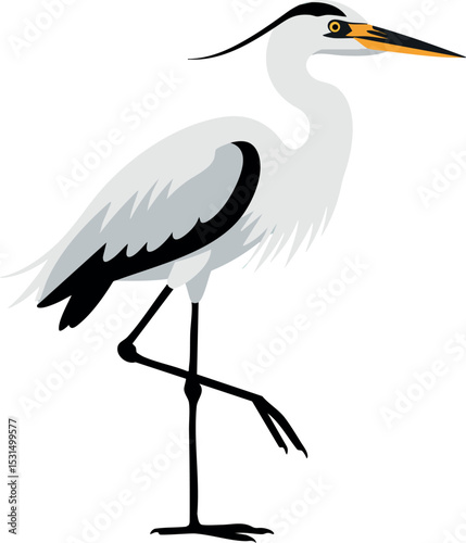 White Heron Bird Standing on One Leg Vector Illustration with Black and Orange Details 