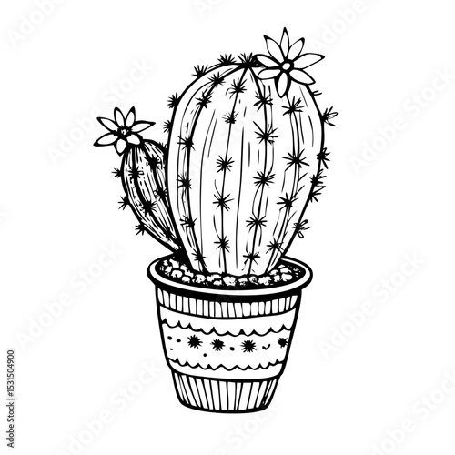 Cactus Plant Drawing with Blooming Flower and Ribbed Detail in Vintage Hand Ink Style