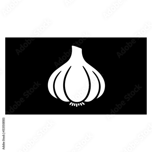 garlic vector illustration