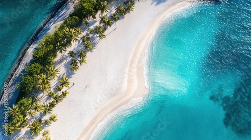 Aerial View of Tropical Beach with Curved Shoreline, Palm Trees, and Turquoise Water
