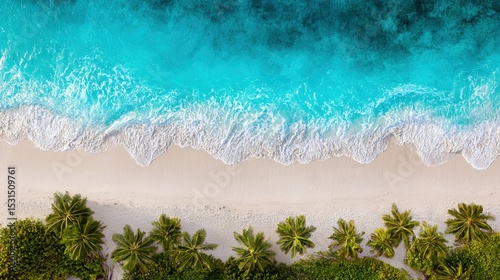 Aerial View of Tropical Beach with Curved Shoreline, Palm Trees, and Turquoise Water