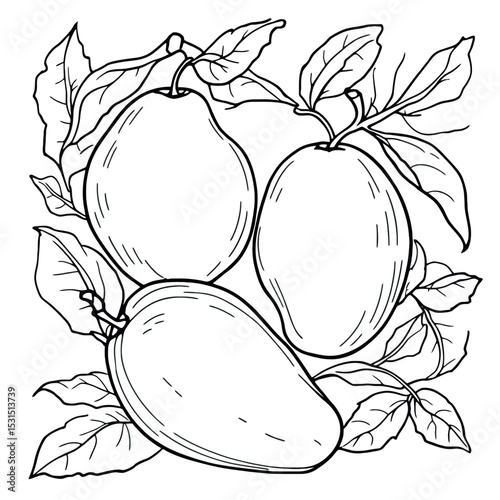 Mangoes Fruits Coloring Book Page for Kids Artistic Fruits Coloring