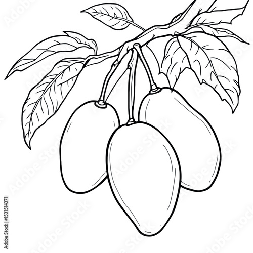Plums On Branch With Leaves Beautiful Fruit Coloring Page for Kids