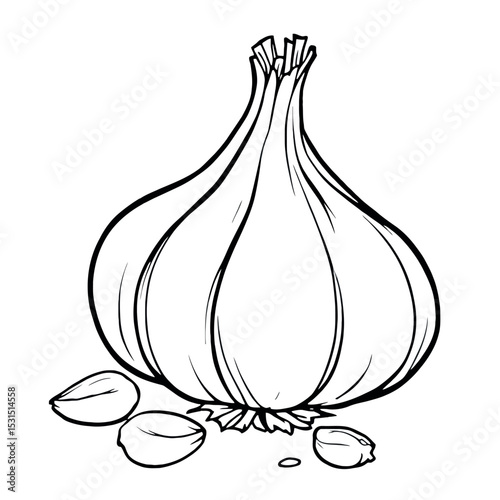 Delicious Garlic Bulb Coloring Page Ready To Print and Start Coloring Now