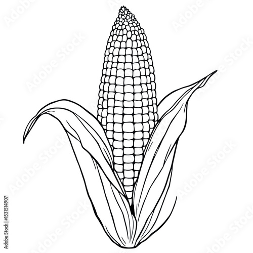 A Fun Corn Coloring Page Activities For Kids and For Adults Too
