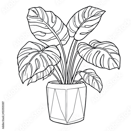 Tropical Plant Coloring Page Botanical Illustration for Relaxation And Artistic Expression