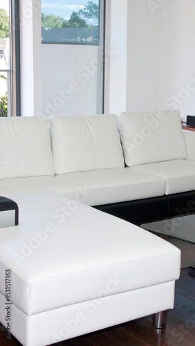 Modern White LShaped Sofa Interior.