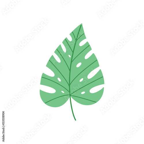 Monstera Leaf Vector Illustration Tropical Green Botanical Design