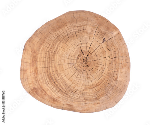 texture and structure of old wood cut with cracks and annual rings