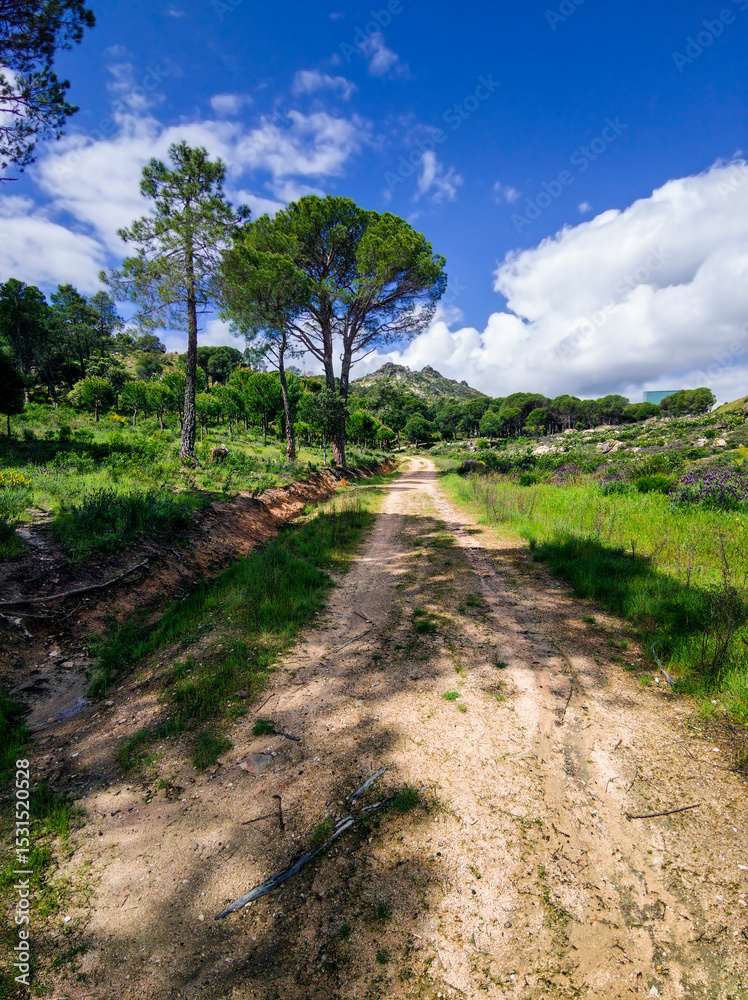 Camino hacia La Peña Camino hacia La Peña