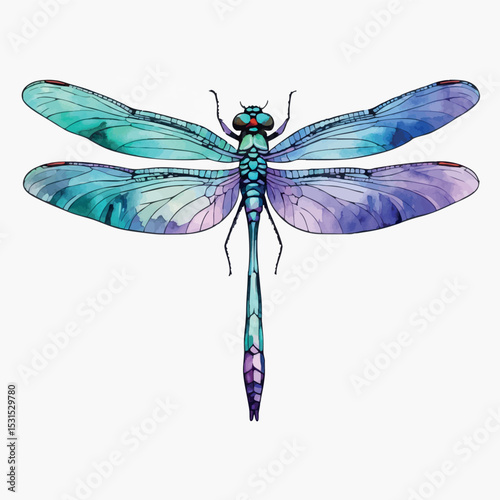 Watercolor dragonfly vector. Delicate insect with detailed wings and iridescent texture.