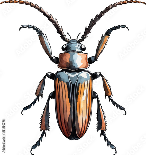 Longhorn beetle vector. Detailed watercolor insect with striped body and long antennae.