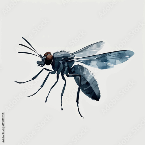 Midge watercolor vector. Minimal flying insect with airy motion and artistic brush texture.