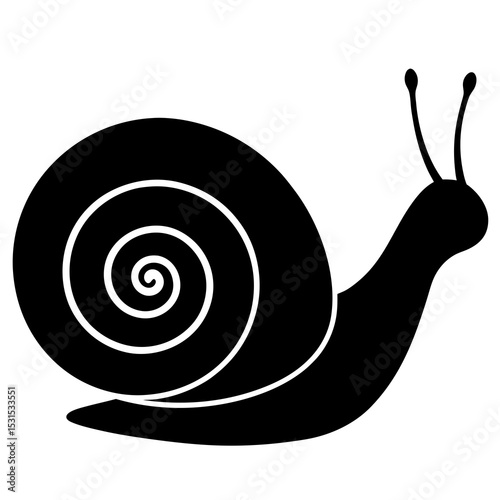 snail on a green background