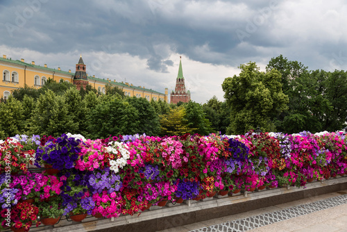 Decorative colorful floral decoration on Manezhnaya Square on Russia Day. Moscow, Russia