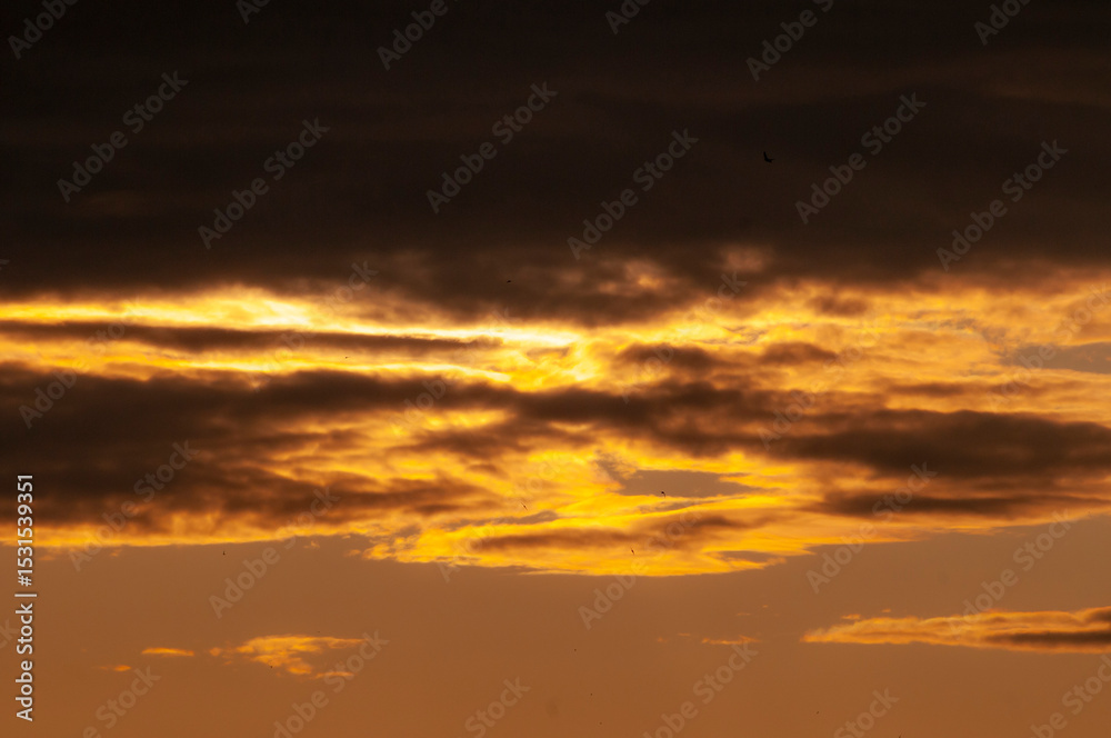 Fototapeta premium Golden Sunset Clouds 