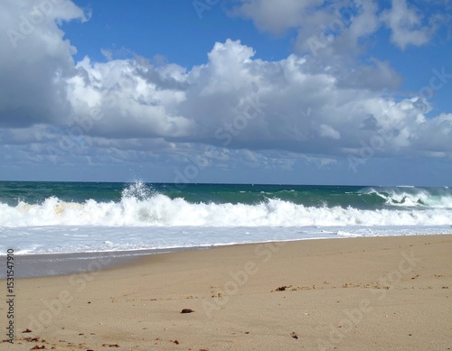 Sunny beach with crashing waves